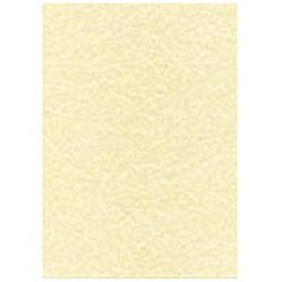 Bond Paper A4 165gsm N/A 50 Pieces