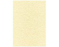 Carta pergamenta T105077 A4 165 g/m² 29,7 x 21 cm 50 unità