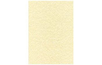 Carta pergamena e a tema