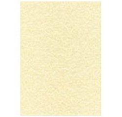 Carta pergamenta T105077 A4 165 g/m² 29,7 x 21 cm 50 unità