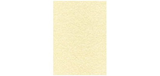 Bond Paper A4 165gsm N/A 50 Pieces