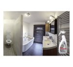 Detergente bagno Cif Professional 2 in 1 750 ml