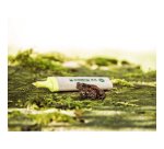 edding EcoLine 24 Highlighter Light green, Orange, Pink, Yellow Medium Chisel 2-5 mm Refillable Pack of 4