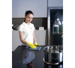 Panni Vileda Micro 5 unità