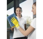 Panni Vileda Micro 5 unità