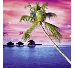 2+1 Confezioni Post-it super sticky Playful 76 x 76 mm 90 ff 6 unità 1 confezione in omaggio