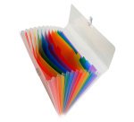 Exacompta Expanding File Crystal A4 Assorted Plastic