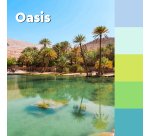 2+1 Confezioni Post-it super sticky Oasis 76 x 76 mm 90 ff 5 unità 1 confezione in omaggio