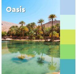 2+1 Confezioni Post-it super sticky Oasis 76 x 76 mm 90 ff 5 unità 1 confezione in omaggio