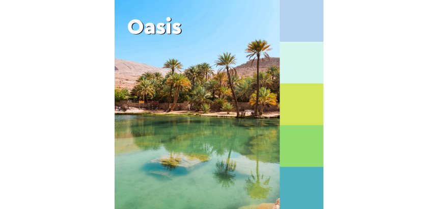 2+1 Confezioni Post-it super sticky Oasis 76 x 76 mm 90 ff 5 unità 1 confezione in omaggio