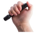 Energizer Torch ENX-FOCUS02