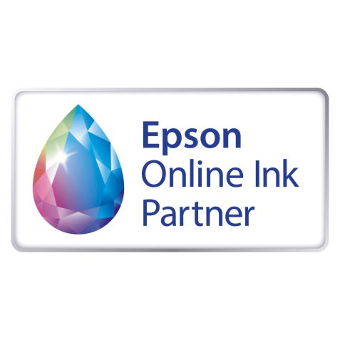 Epson T0795 Original Ink Cartridge C13T07954010 Light Cyan