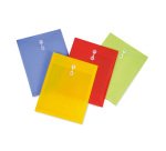 Buste con laccio assortiti polipropilene 21 x 29,7 cm 5 unità