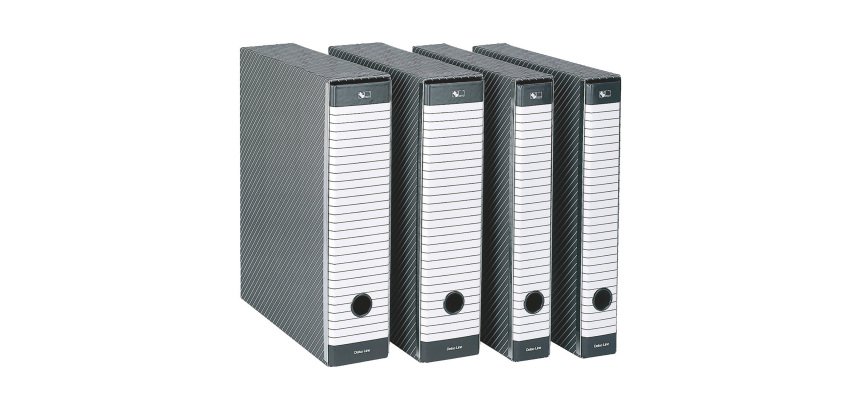 Registratore Esselte Delso Line Protocollo Grigio dorso 8 cm