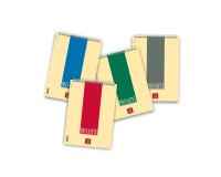 Blocchi spiralati Pigna Pignastyl A4 Assortiti A quadretti 29,7 (h) x 21 (l) cm senza perforazione 90 g/m² 10 unità da 60 fogli
