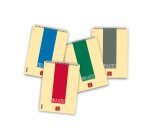 Blocchi spiralati Pigna Pignastyl A4 Assortiti A quadretti 29,7 (h) x 21 (l) cm senza perforazione 90 g/m² 10 unità da 60 fogli