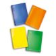 Pigna Notebooks Monocromo Fluo Assorted Feint Ruled microperforation A4 29.7 x 22 cm Pack 5