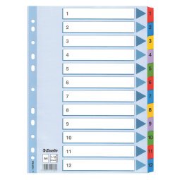 Esselte Mylar Indices 100162 A4 With Reinforced Tabs Multicolour 12 Part Perforated 160 gsm Cardboard 1 to 12