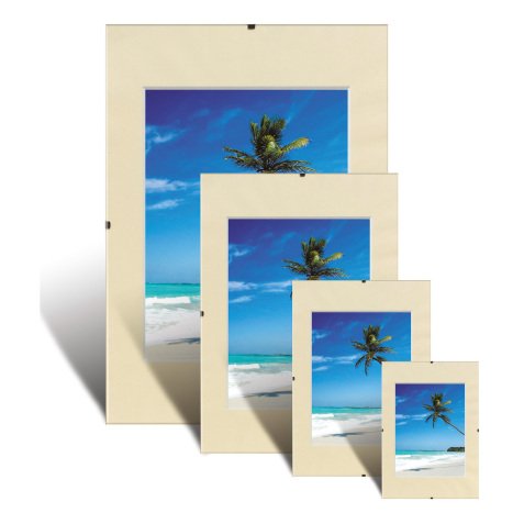 Niceday Wall Mountable Clip Frame 978922 A4 297 x 210 mm Transparent Pack of 2