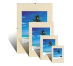 Cornici con clip A4 Trasparente 29,7 (l) cm 2 unità