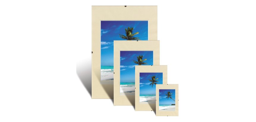 Cornici con clip A4 Trasparente 29,7 (l) cm 2 unità