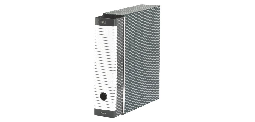 Registratore Esselte Delso Line Commerciale Grigio dorso 8 cm