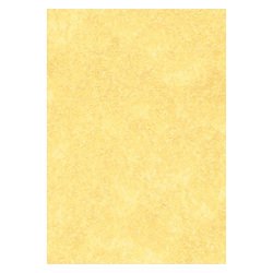 Letterhead Paper A4 95gsm Gold N/A