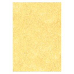 Letterhead Paper A4 95gsm Gold N/A