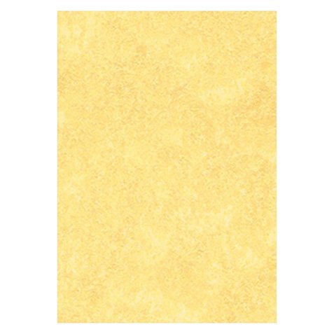 Letterhead Paper A4 95gsm Gold N/A