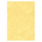 Letterhead Paper A4 95gsm Gold N/A