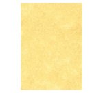 Letterhead Paper A4 95gsm Gold N/A