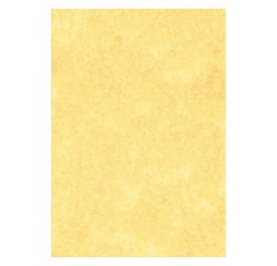Carta coordinata A4 in rilievo 95 g/m² 29,7 x 21 cm