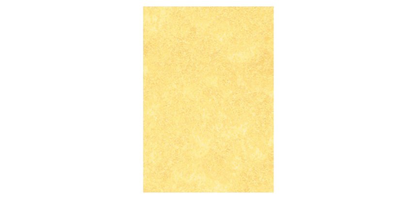 Letterhead Paper A4 95gsm Gold N/A