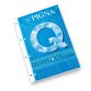 Pigna A4 29.7 x 21 cm 5 pieces of 40 sheets