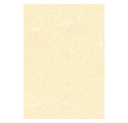 En_cf100 carta decadry perg champagn a4 95g