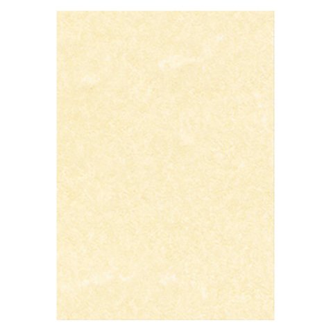 Carta pergamena A4 95 g/m² 29,7 x 21 cm 100 unità