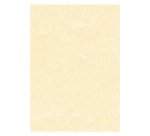 Carta pergamena A4 95 g/m² 29,7 x 21 cm 100 unità