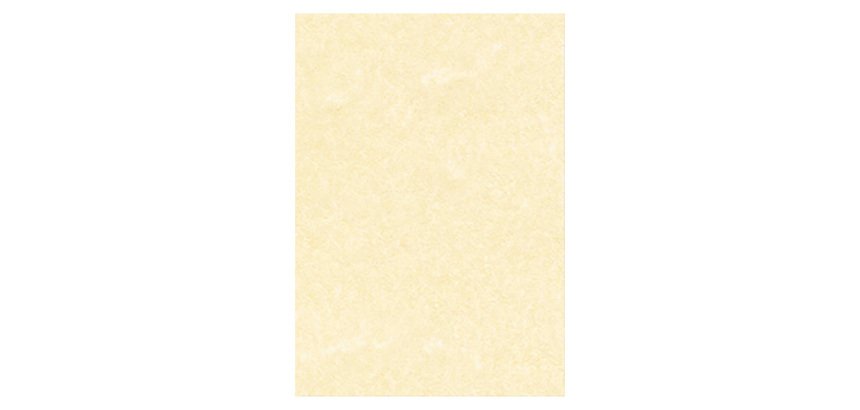 Carta pergamena A4 95 g/m² 29,7 x 21 cm 100 unità