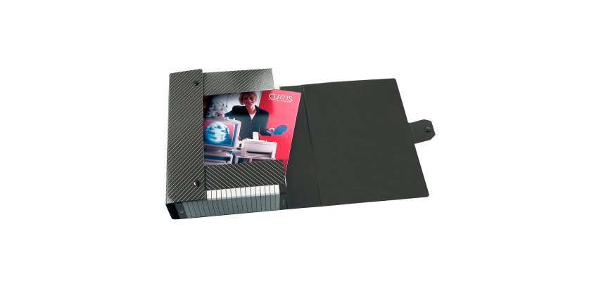 Scatole progetto Esselte Delso Line dorso 8 cm 25 x 35 colore grigio / bianco