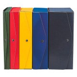 Scatole archivio Rexel Project blu presspan dorso 12.0 cm 5 unità