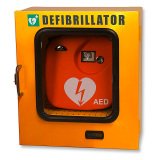 Teca da esterno termoregolata per defibrillatore, 42,5 x 21,5 x 48 cm