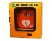 Teca da esterno termoregolata per defibrillatore, 42,5 x 21,5 x 48 cm