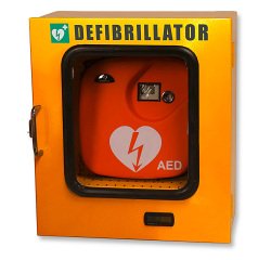 Teca da esterno termoregolata per defibrillatore, 42,5 x 21,5 x 48 cm