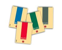 Blocchi spiralati Pigna Pignastyl Assortiti A quadretti senza perforazione A5 15 (l) x 21 (h) cm 80 g/m² 10 Pezzi