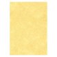 Carta coordinata 165 g/m² Oro 50 unità