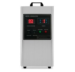 Generatore di Ozono DIEN DPA-5G fino a 100 m3/ora Grigio 23 x 18 x 46,5 cm