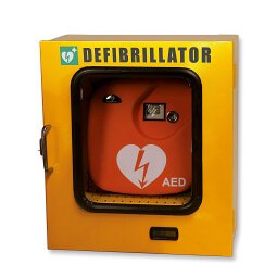 Teca da esterno termoregolata con allarme per defibrillatore, 42,5 x 21,5 x 48 cm