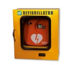 Teca da esterno termoregolata con allarme per defibrillatore, 42,5 x 21,5 x 48 cm
