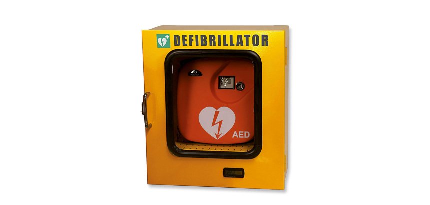 Teca da esterno termoregolata con allarme per defibrillatore, 42,5 x 21,5 x 48 cm
