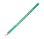 BIC Pencil Ecolutions™ Evolution HB Pack 12